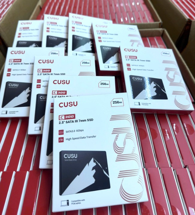 SSD CUSU C300 2.5 SATAIII 3D NAND 256GB 2 | GP Tech