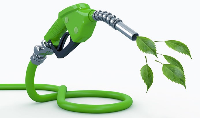 nhiên liệu sinh khối