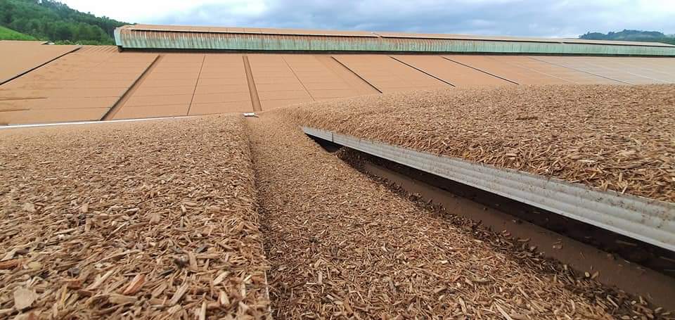 cong ty rua pin mat troi chuyen nghiep | GP Tech