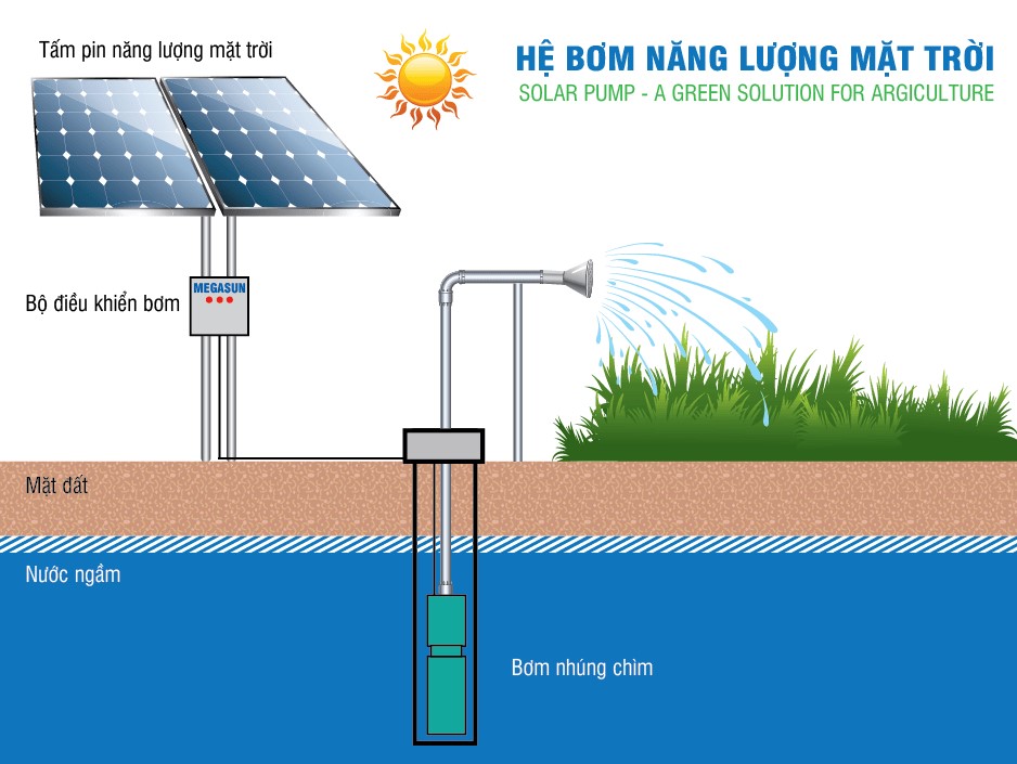 Tìm hiểu về bơm năng lượng mặt trời trực tiếp