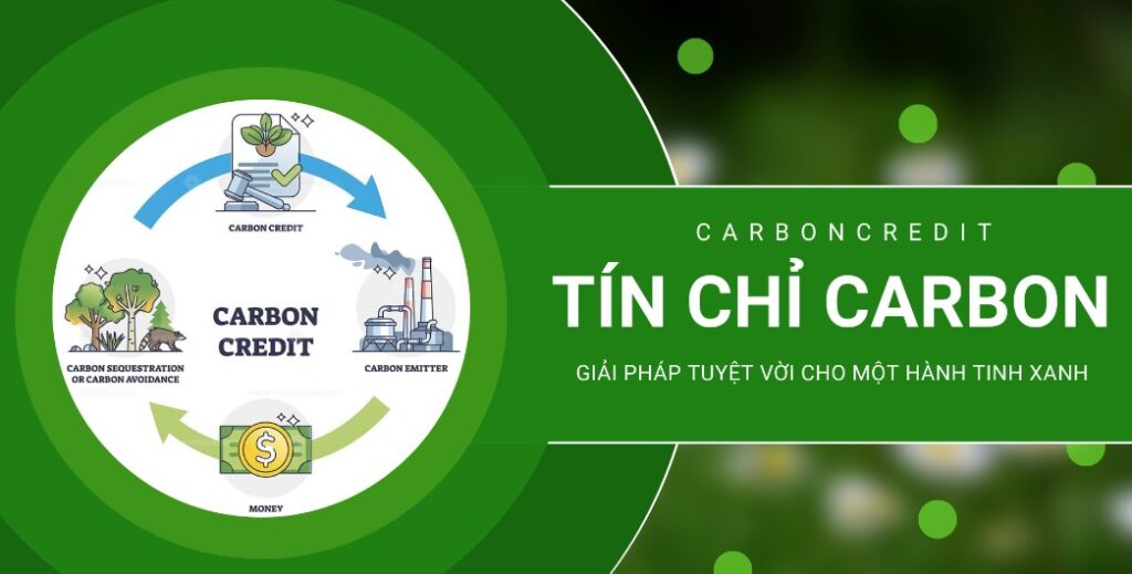 Tác động của tín chỉ carbon