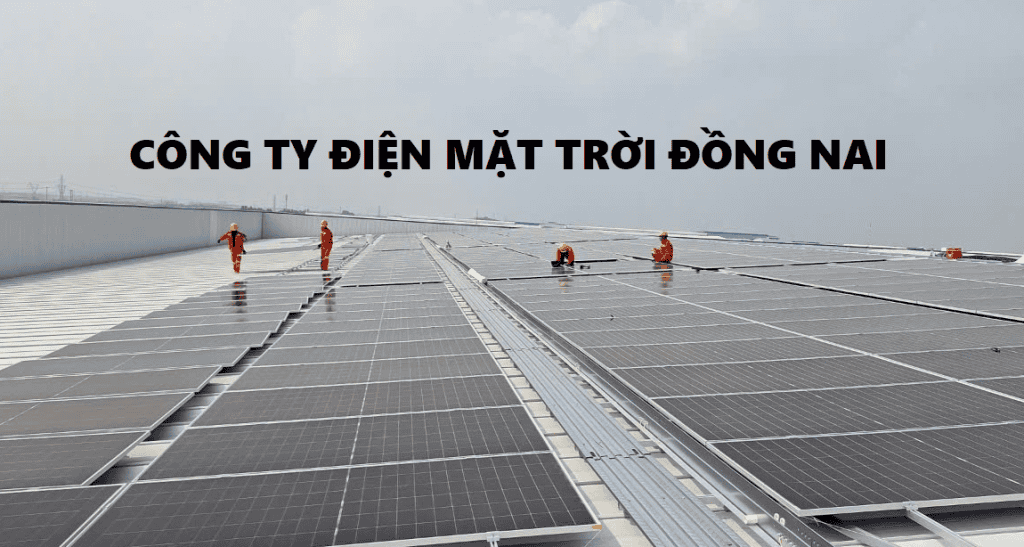 CONG TY DIEN MAT TROI DONG NAI 1 | GP Tech