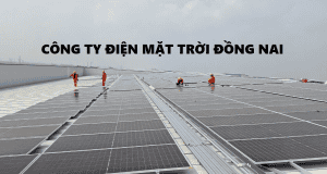 CONG TY DIEN MAT TROI DONG NAI 1 | GP Tech